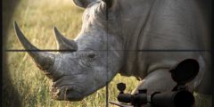 Rhino Hunter Shooting Strike